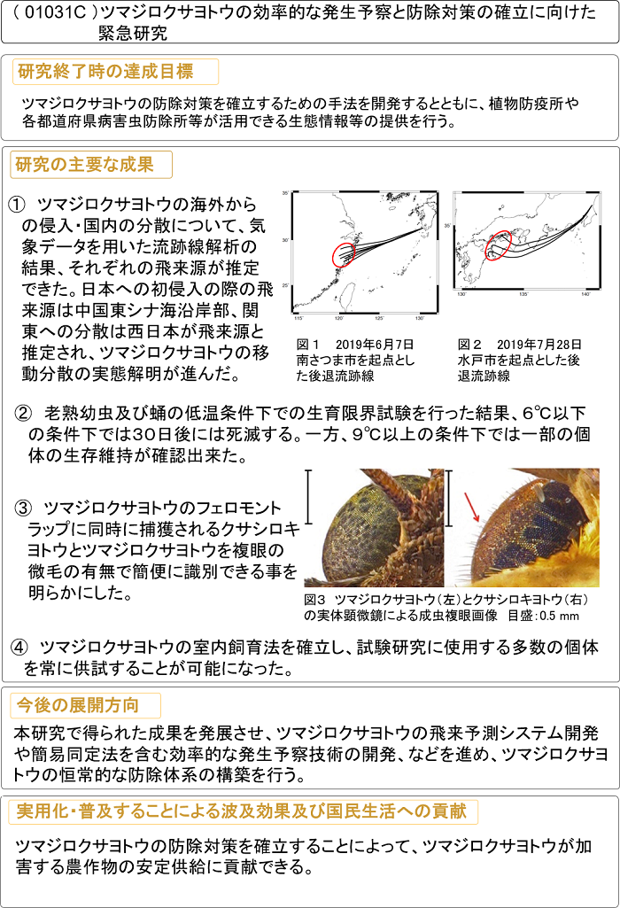 ツマジロクサヨトウの効率的な発生予察と防除対策の確立に向けた緊急研究