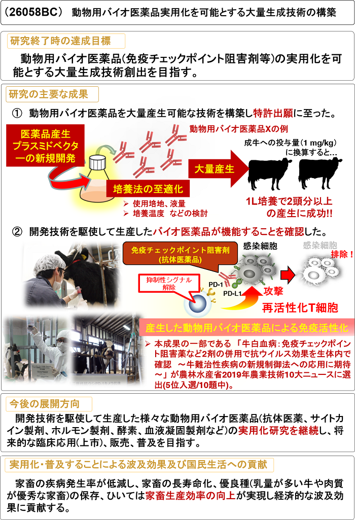 動物用バイオ医薬品実用化を可能とする大量生成技術の構築