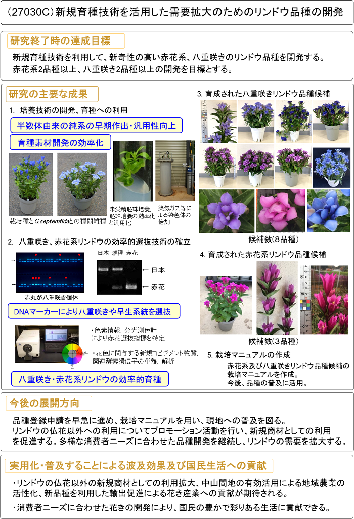 新規育種技術を活用した需要拡大のためのリンドウ品種の開発