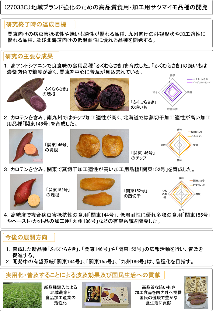 地域ブランド強化のための高品質食用・加工用サツマイモ品種の開発