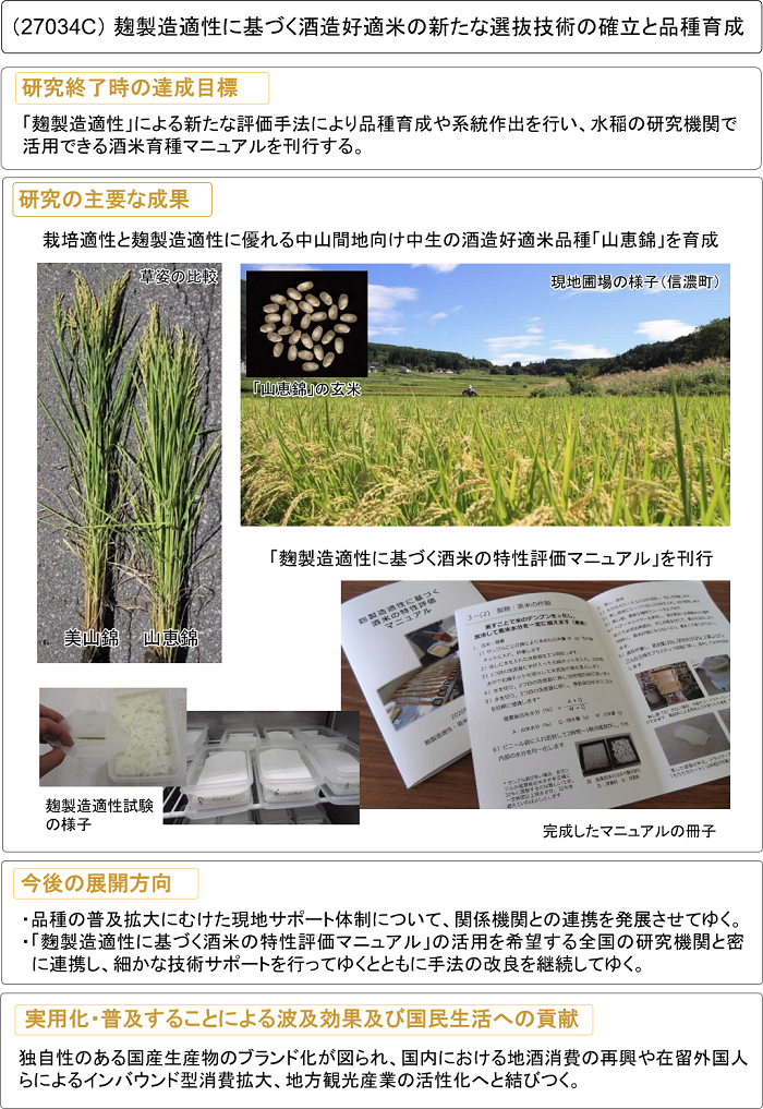 麹製造適性に基づく酒造好適米の新たな選抜技術の確立と品種育成