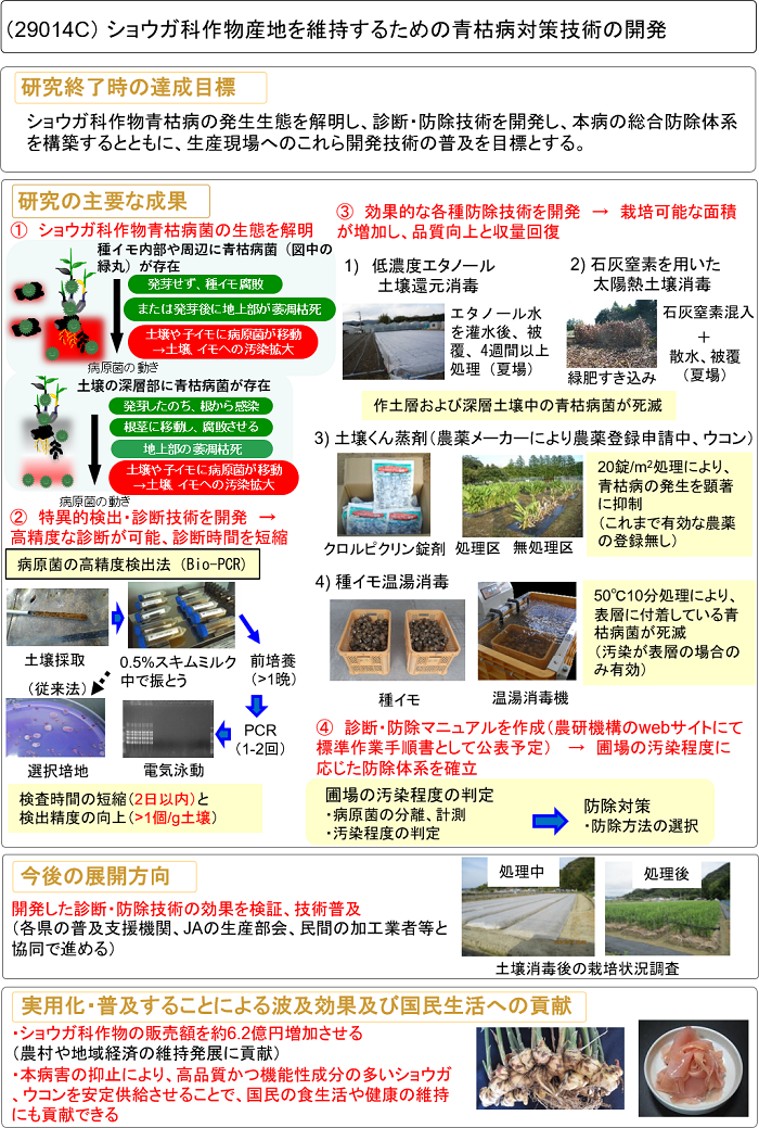 ショウガ科作物産地を維持するための青枯病対策技術の開発