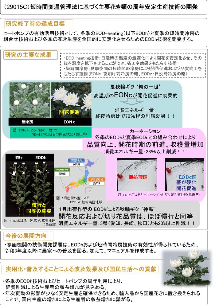 短時間変温管理法に基づく主要花き類の周年安定生産技術の開発