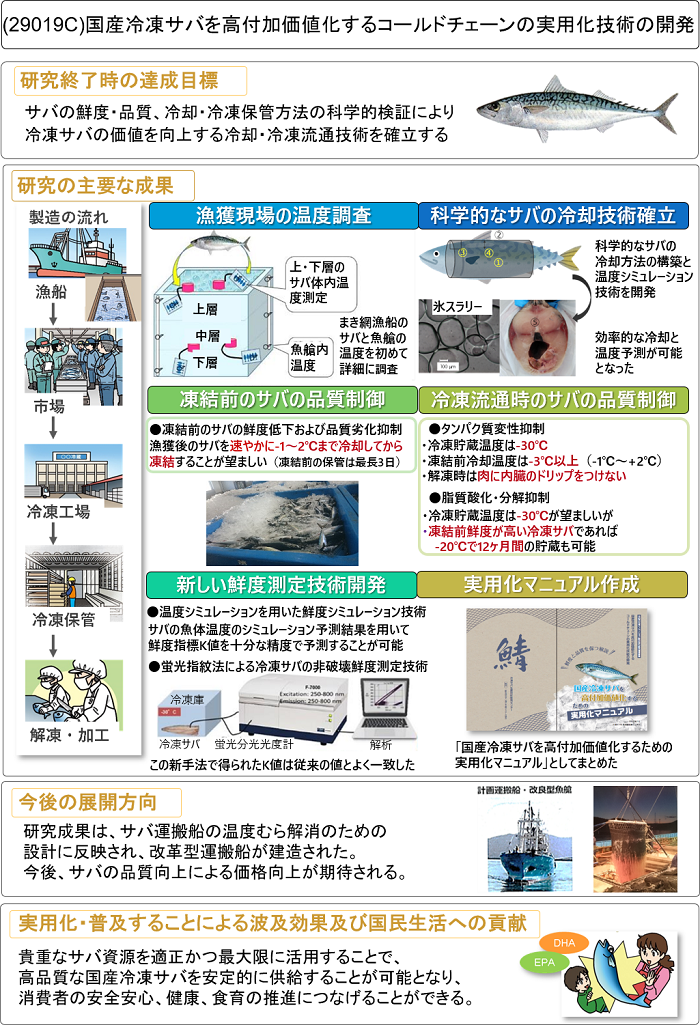 国産冷凍サバを高付加価値化するコールドチェーンの実用化技術の開発