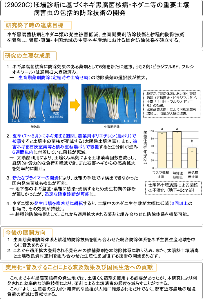 ほ場診断に基づくネギ黒腐菌核病・ネダニ等の重要土壌病害虫の包括的防除技術の開発