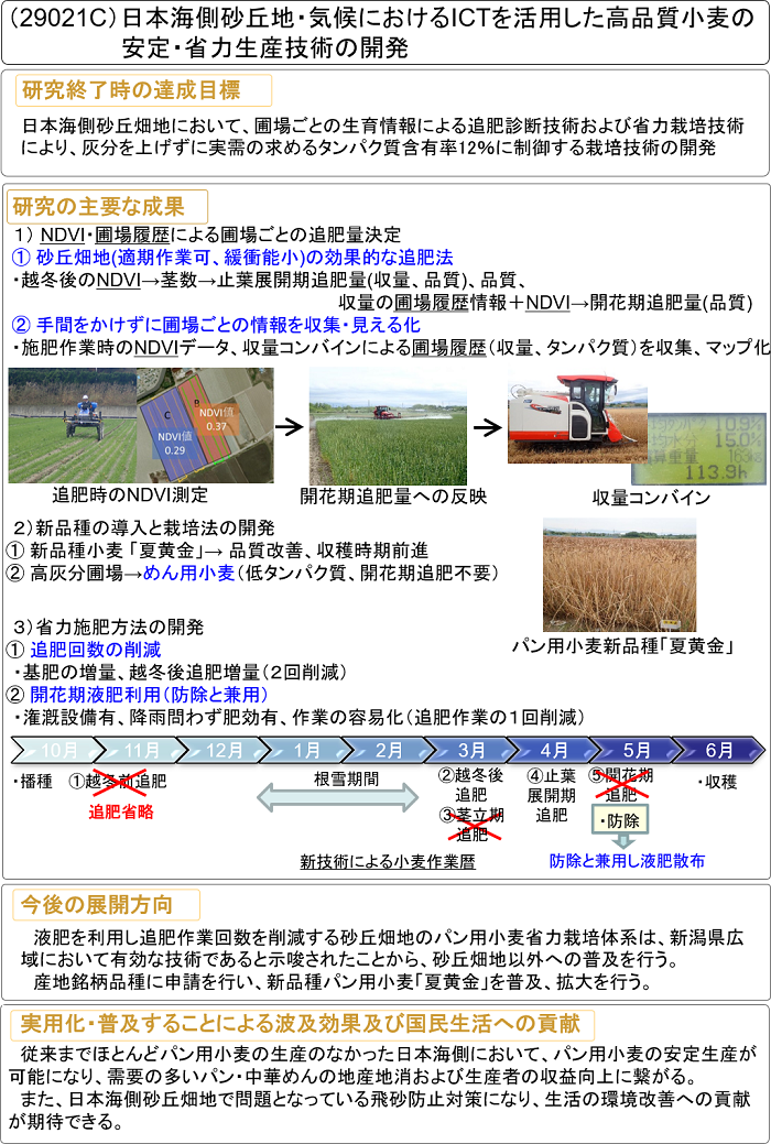 日本海側砂丘地・気候におけるICTを活用した高品質小麦の安定・省力生産技術の開発