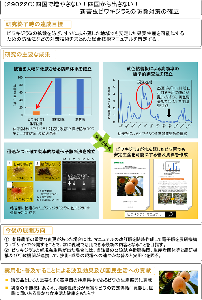 四国で増やさない! 四国から出さない! 新害虫ビワキジラミの防除対策の確立