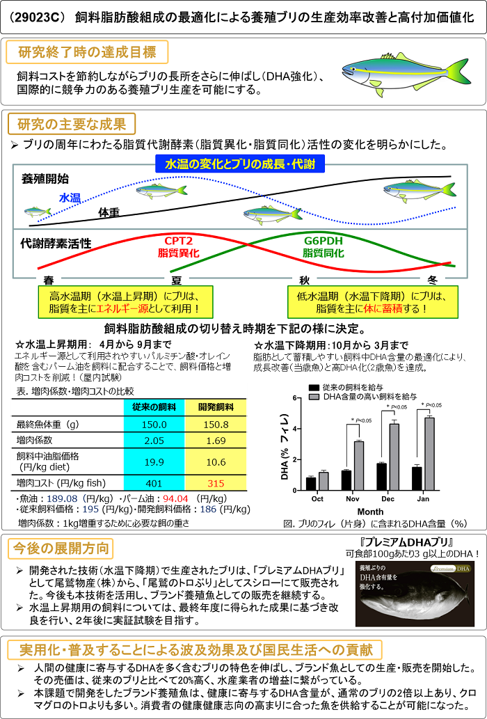 飼料脂肪酸組成の最適化による養殖ブリの生産効率改善と高付加価値化