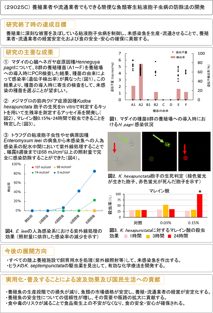 養殖業者や流通業者でもできる簡便な魚類寄生粘液胞子虫病の防除法の開発