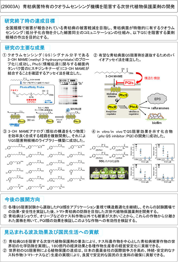 青枯病菌特有のクオラムセンシング機構を阻害する次世代植物保護薬剤の開発