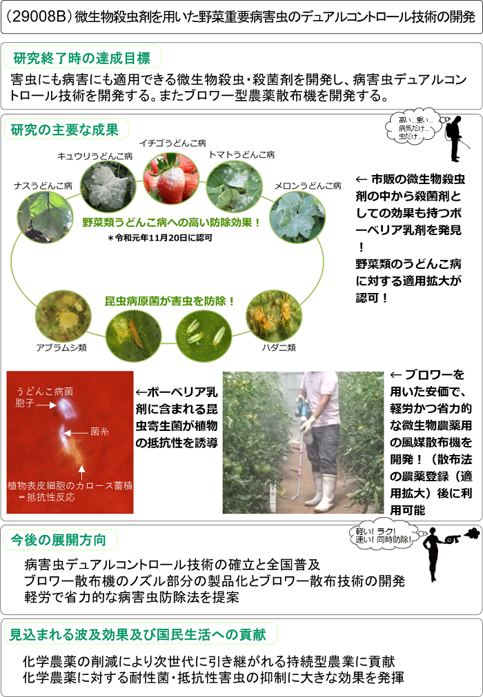 微生物殺虫剤を用いた野菜重要病害虫のデュアルコントロール技術の開発