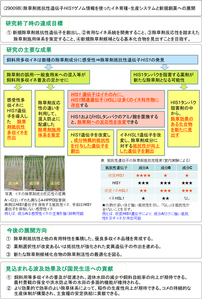 除草剤抵抗性遺伝子HIS1ゲノム情報を使ったイネ育種・生産システムと新規創薬への展開