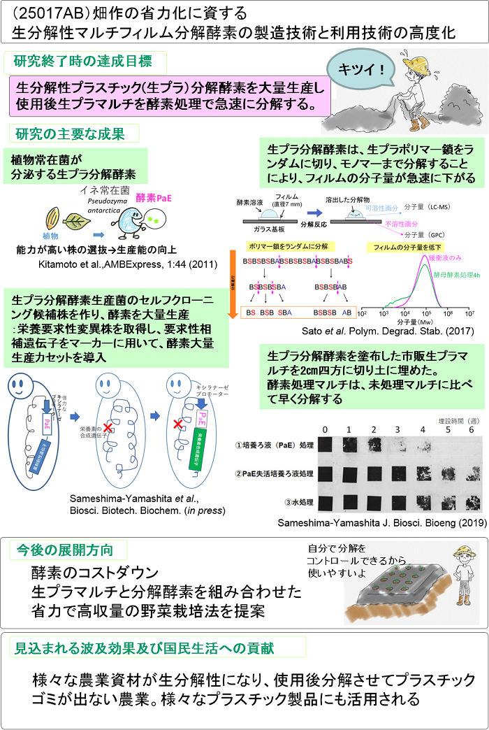 畑作の省力化に資する生分解性マルチフィルム分解酵素の製造技術と利用技術の高度化