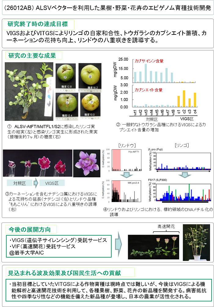 ALSVベクターを利用した果樹・野菜・花卉のエピゲノム育種技術開発