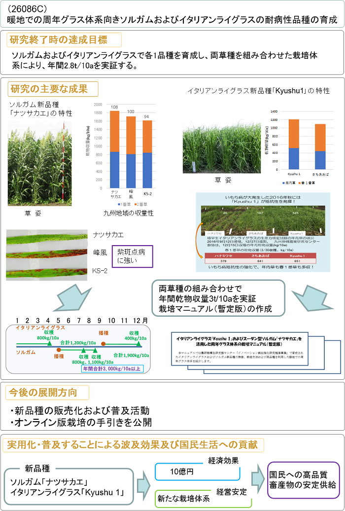 暖地での周年グラス体系向きソルガムおよびイタリアンライグラスの耐病性品種の育成