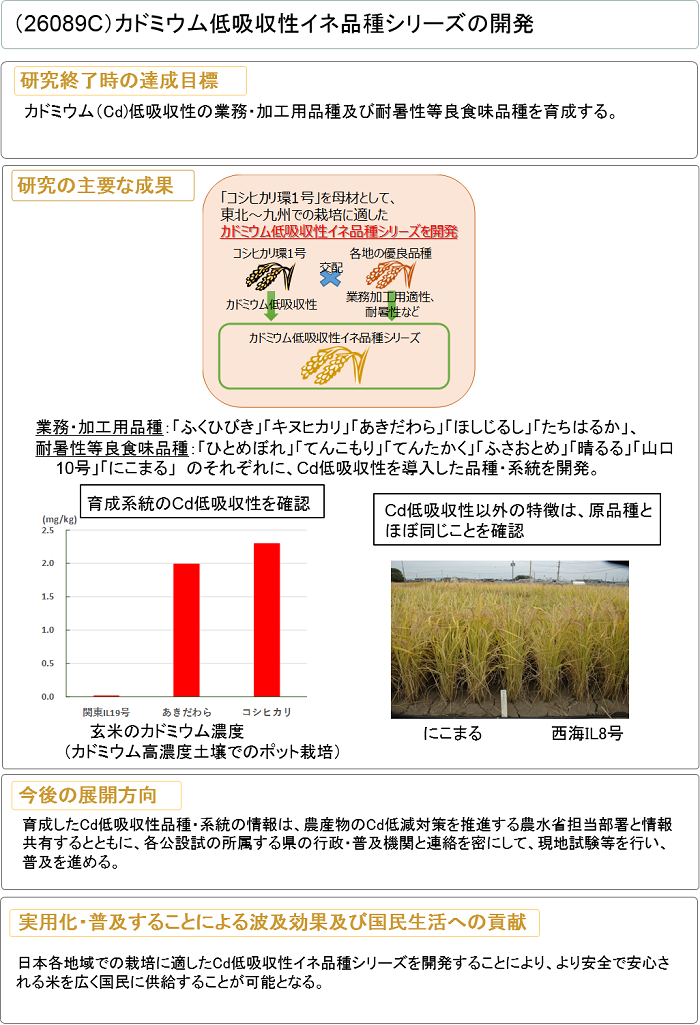 カドミウム低吸収性イネ品種シリーズの開発