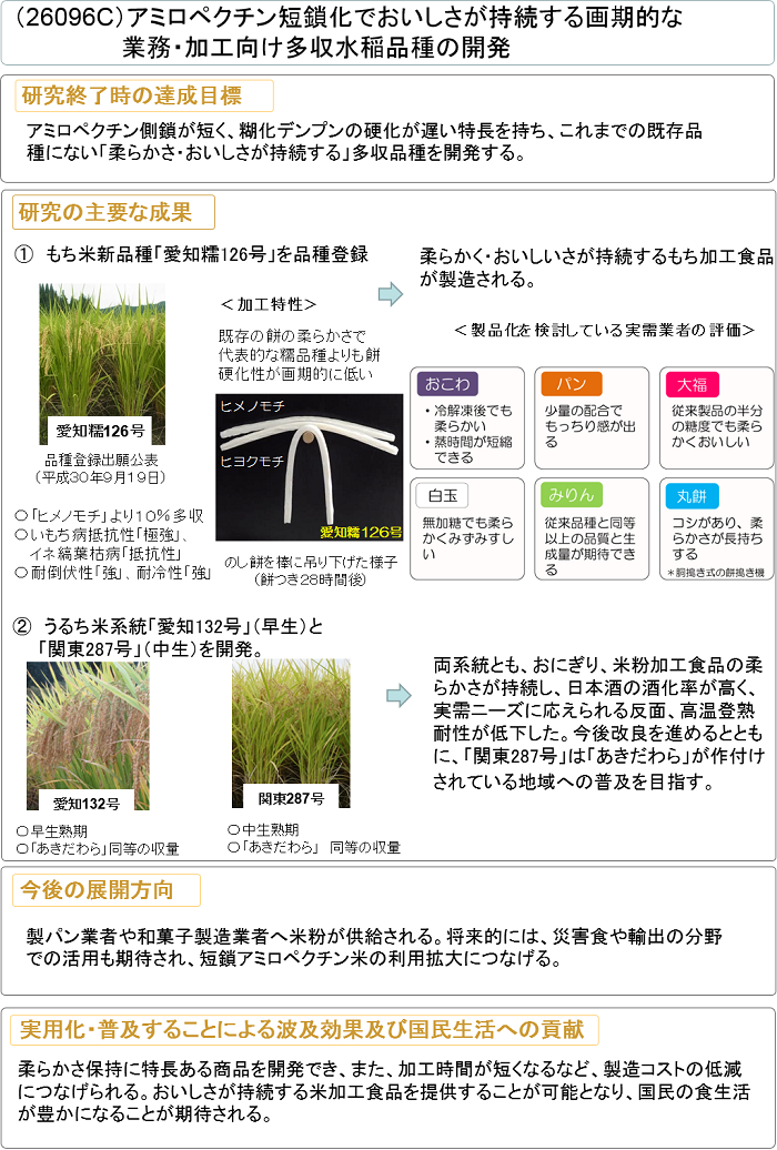 アミロペクチン短鎖化でおいしさが持続する画期的な業務・加工向け多収水稲品種の開発