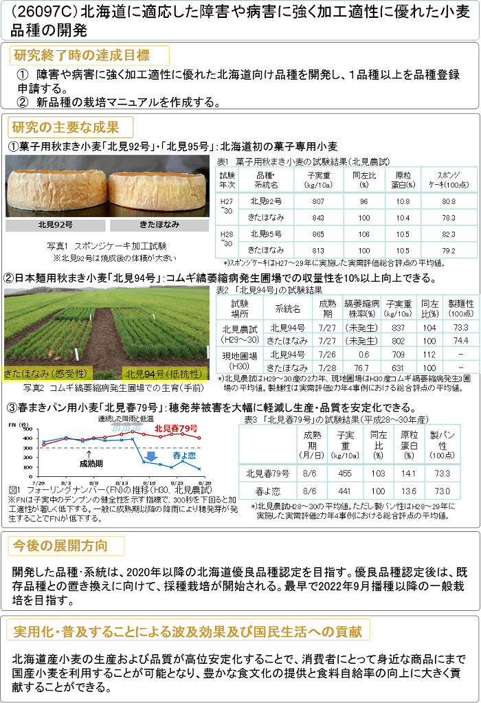 北海道に適応した障害や病害に強く加工適性に優れた小麦品種の開発