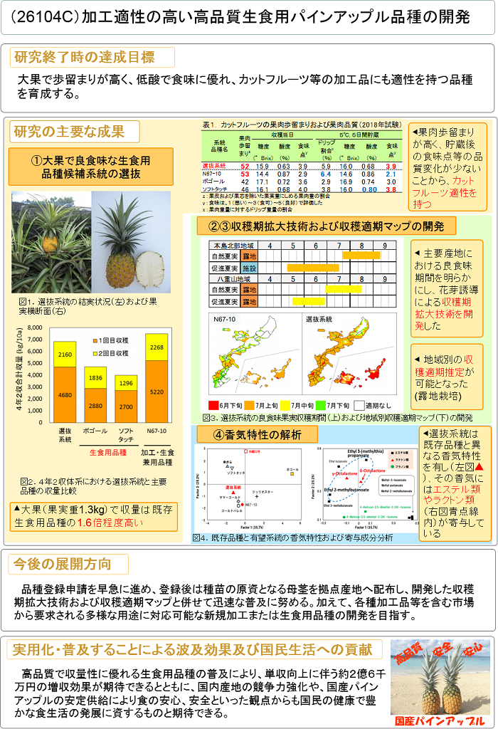加工適性の高い高品質生食用パインアップル品種の開発