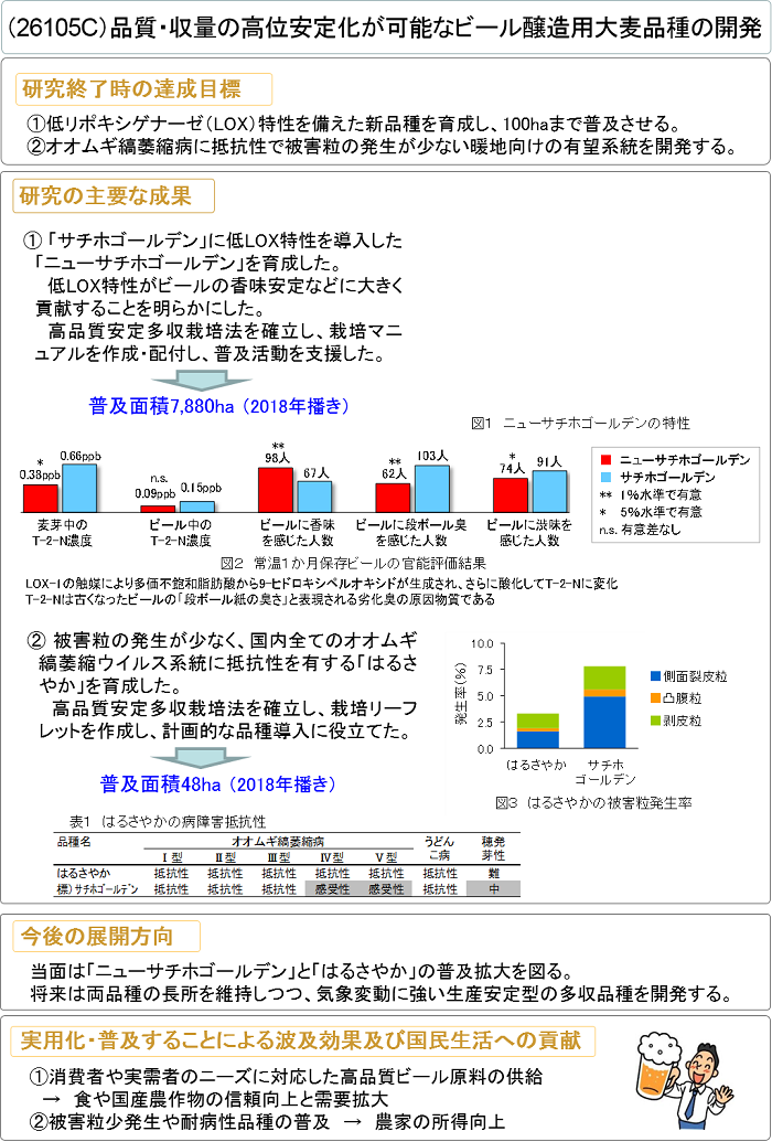 品質・収量の高位安定化が可能なビール醸造用大麦品種の開発