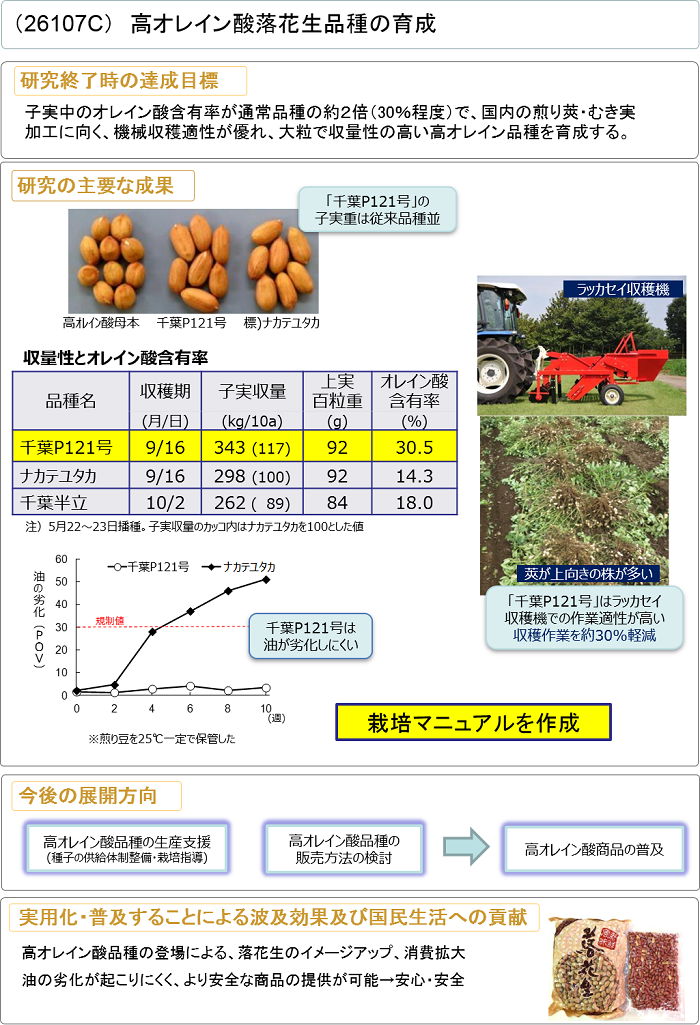 高オレイン酸落花生品種の育成