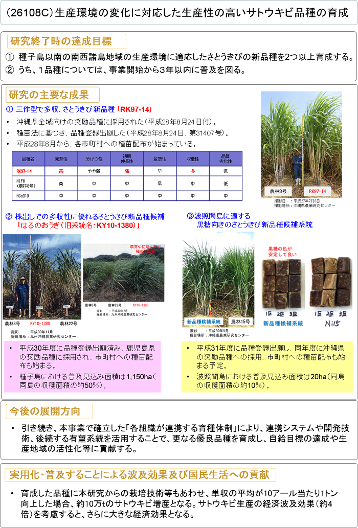 生産環境の変化に対応した生産性の高いサトウキビ品種の育成