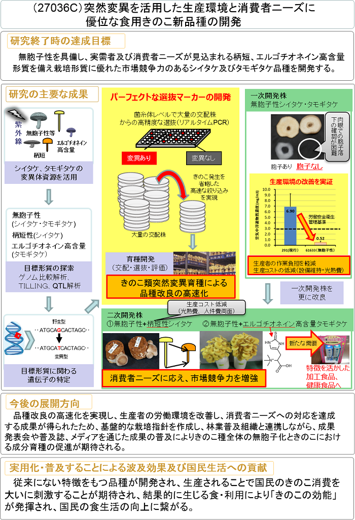 突然変異を活用した生産環境と消費者ニーズに優位な食用きのこ新品種の開発