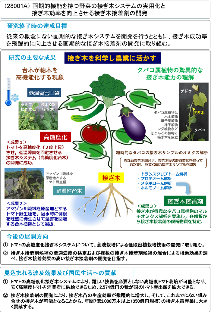 画期的機能を持つ野菜の接ぎ木システムの実用化と接ぎ木効率を向上させる接ぎ木接着剤の開発