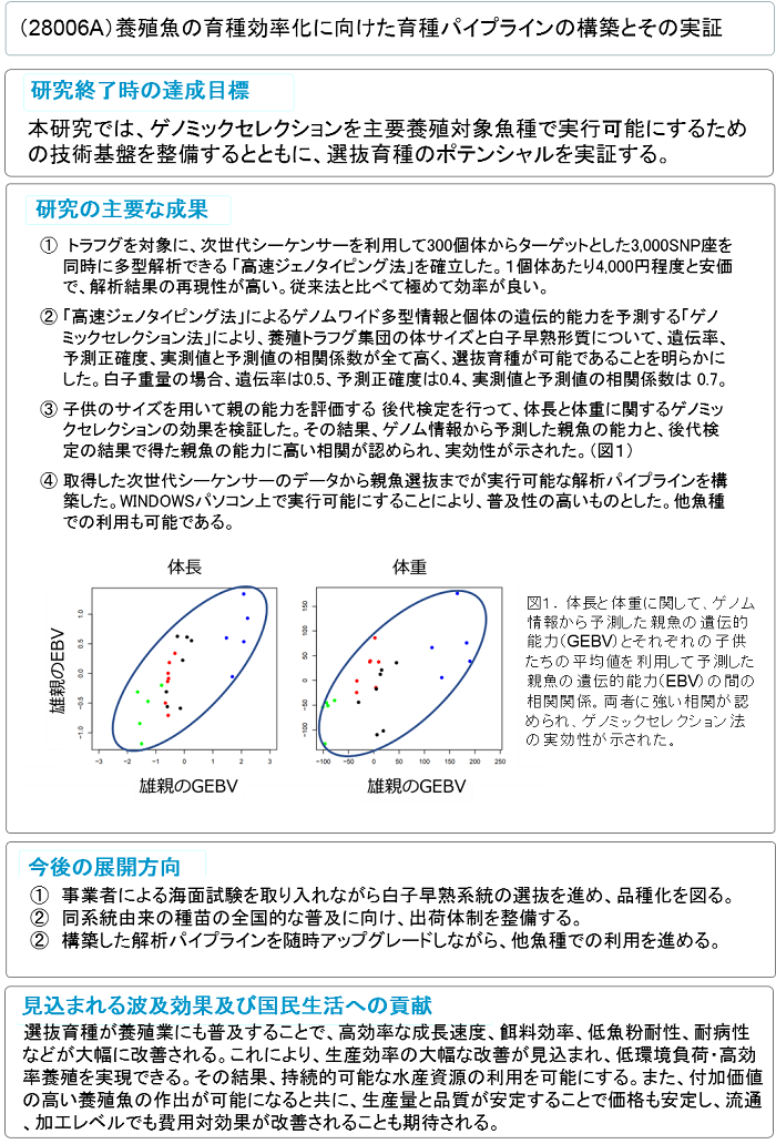 養殖魚の育種効率化に向けた育種パイプラインの構築とその実証