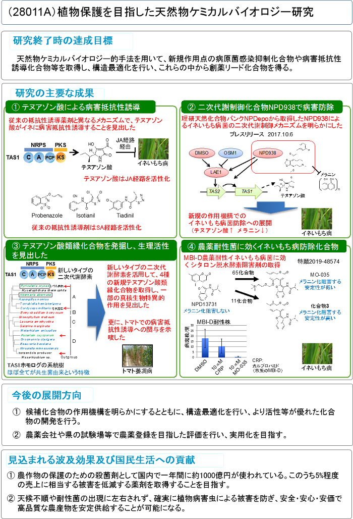 植物保護を目指した天然物ケミカルバイオロジー研究