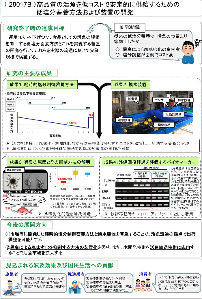 高品質の活魚を低コストで安定的に供給するための低塩分蓄養方法および装置の開発