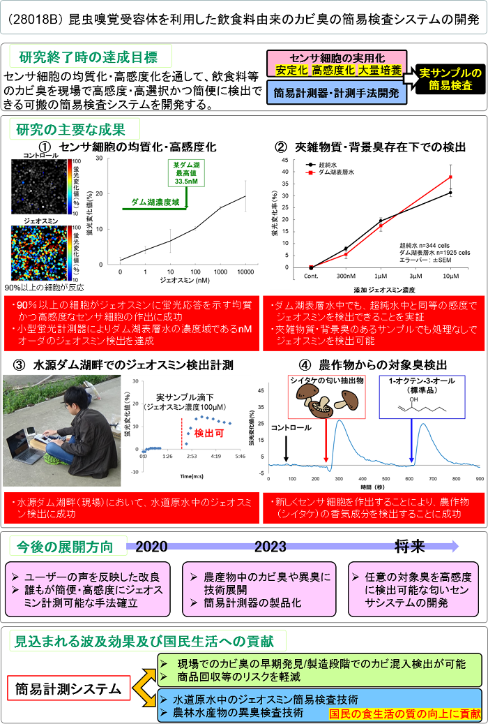 昆虫嗅覚受容体を利用した飲食料由来のカビ臭の簡易検査システムの開発