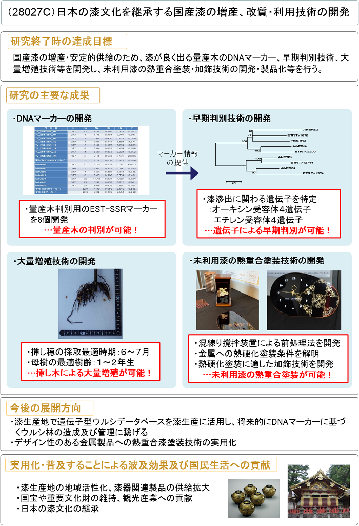 日本の漆文化を継承する国産漆の増産、改質・利用技術の開発