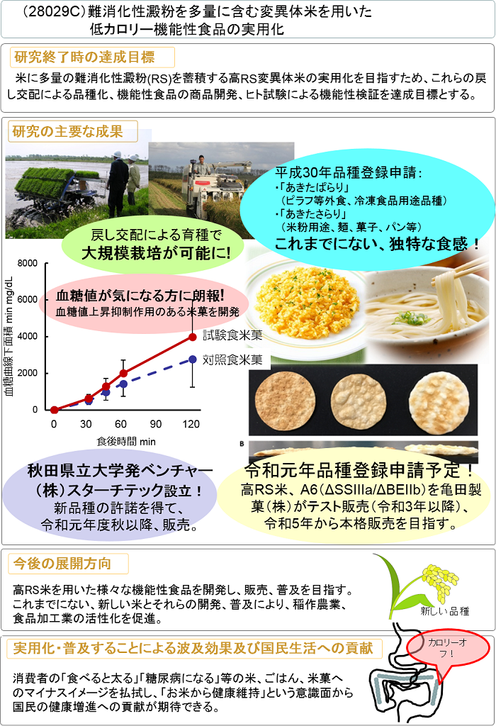 難消化性澱粉を多量に含む変異体米を用いた低カロリー機能性食品の実用化