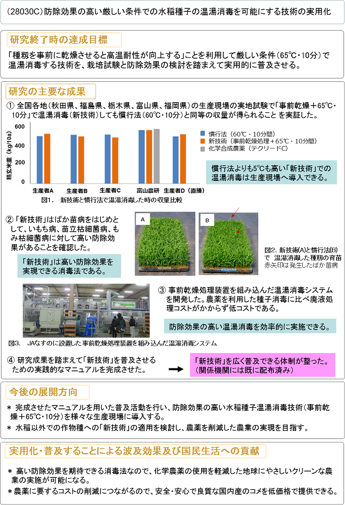 防除効果の高い厳しい条件での水稲種子の温湯消毒を可能にする技術の実用化