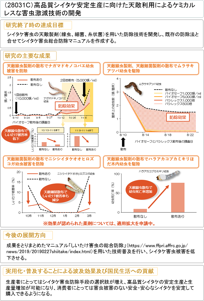 高品質シイタケ安定生産に向けた天敵利用によるケミカルレスな害虫激減技術の開発