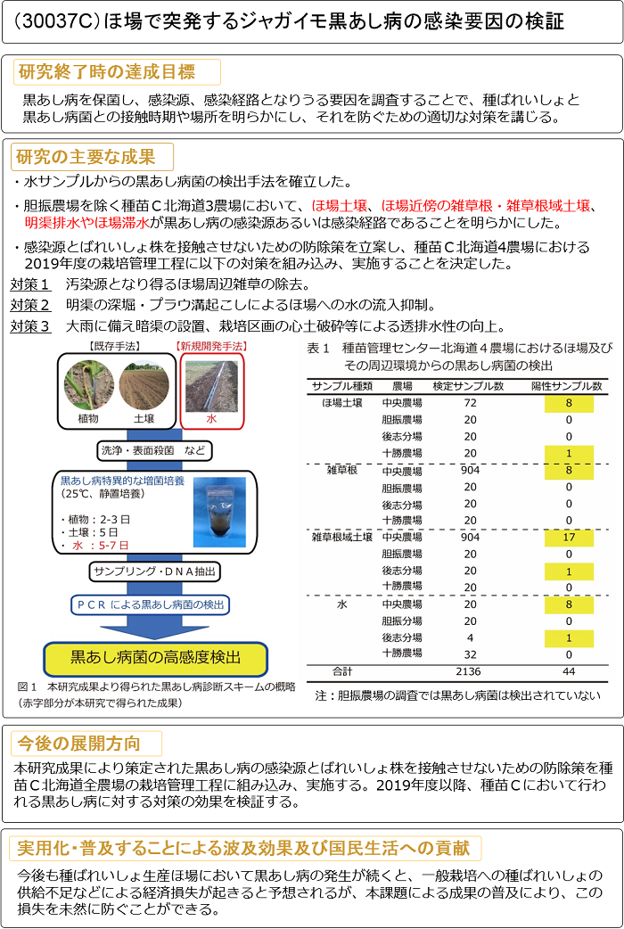 ほ場で突発するジャガイモ黒あし病の感染要因の検証