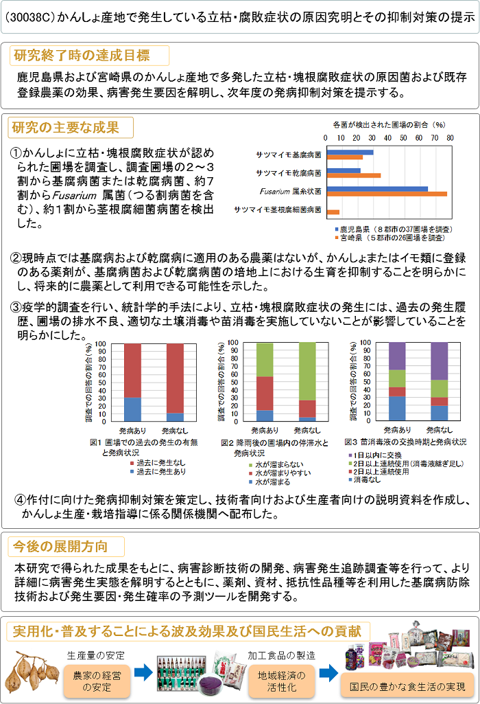 かんしょ産地で発生している立枯・腐敗症状の原因究明とその抑制対策の提示