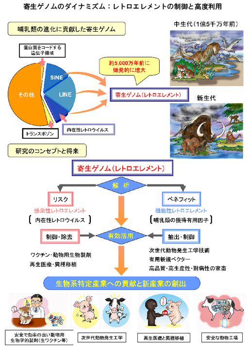 寄生ゲノムのダイナミズム:レトロエレメントの制御と高度利用