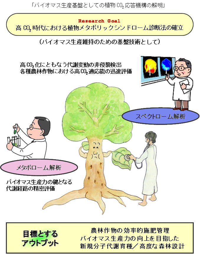 バイオマス生産基盤としての植物CO2応答機構の解明