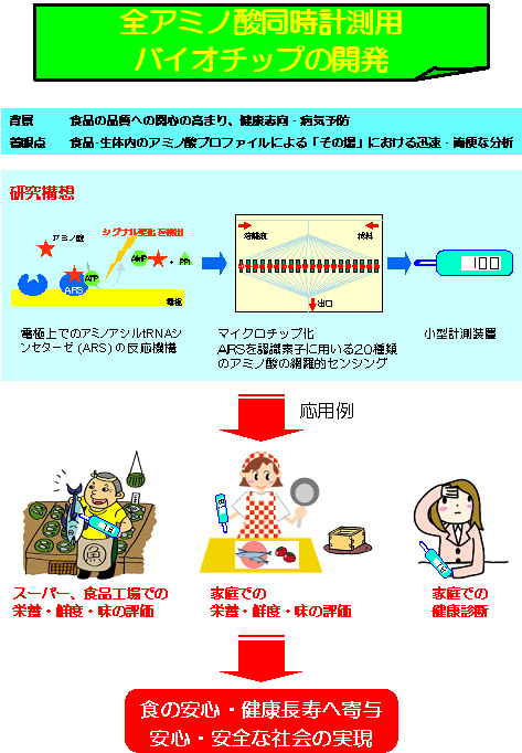 全アミノ酸同時計測用バイオチップの開発