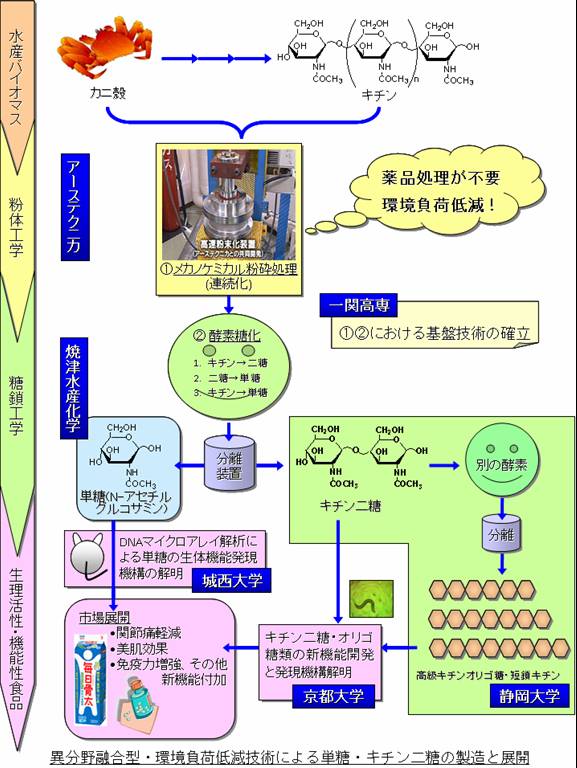 環境負荷低減技術によるキチン系バイオマス資源の高度利用