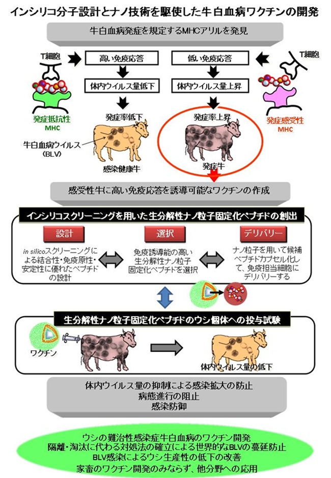 インシリコ分子設計とナノ技術を駆使した牛白血病ワクチンの開発
