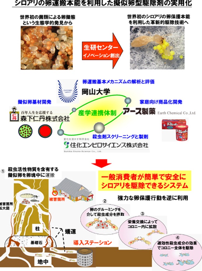 シロアリの卵運搬本能を利用した擬似卵型駆除剤の実用化