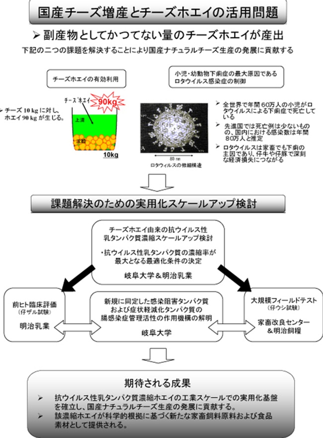 腸感染症管理用素材としてのチーズホエイの有効利用