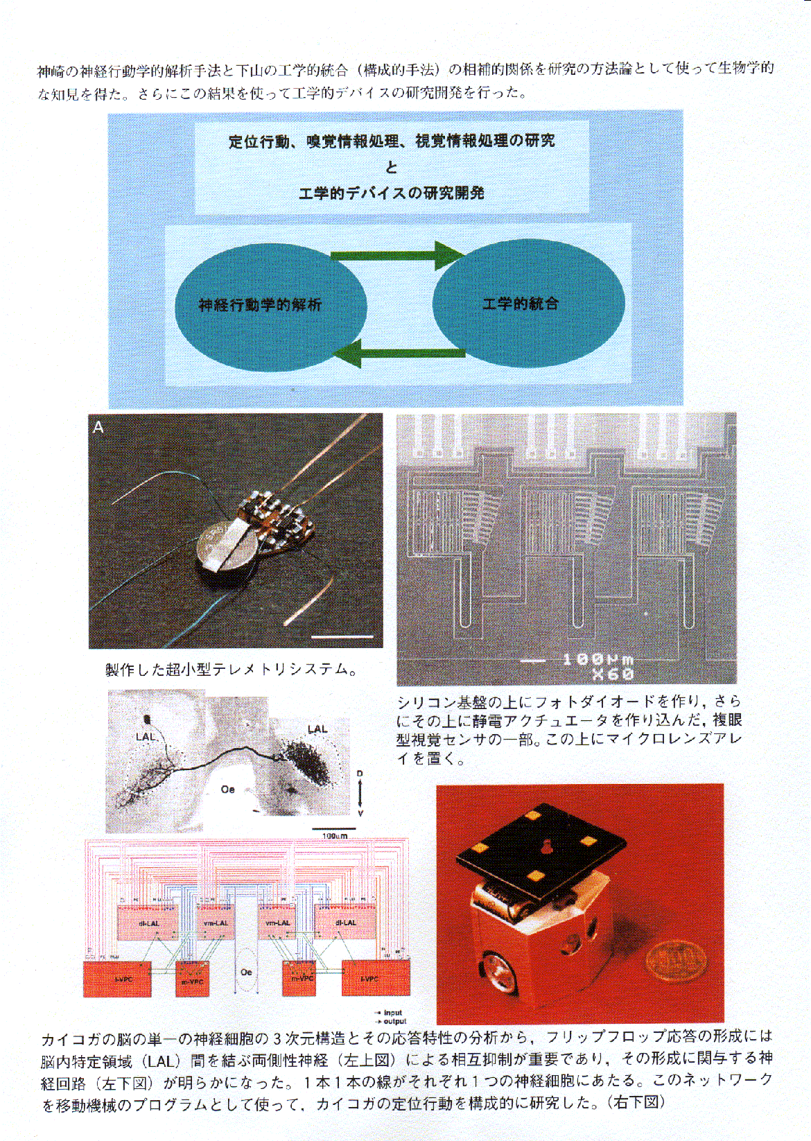 昆虫の生体機能に基づくバイオマイクロマシンの研究 