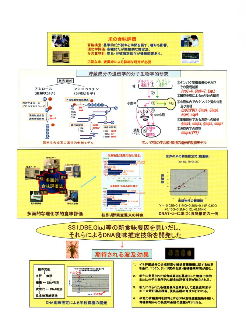 広範な特性の米及び変異米の食味特性の解明及び新評価技術