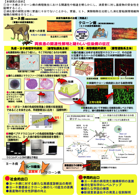 家畜とヒトの炎症性腸疾患の発生機序と関連性の解明