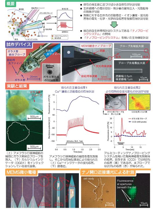 ナノプローブによる生物機能のナノ領域でのアクティブ計測