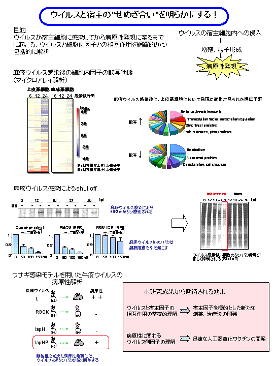 動物ウイルスによる宿主細胞の制圧機構の解明